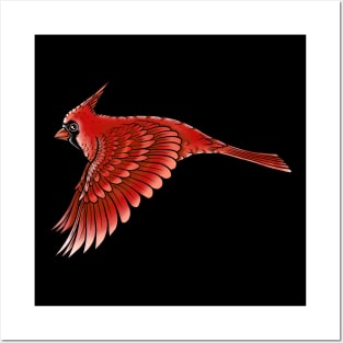 Red Cardinal bird cute cardinal Posters and Art